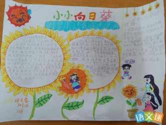 向日葵怎么画手抄报小学生画向日葵的手抄报 小学生手抄报向日葵画手