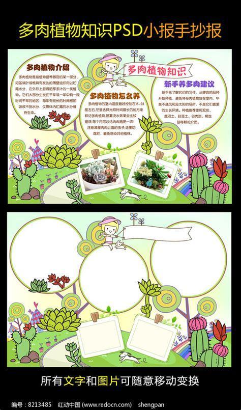 多肉植物科学手抄报植物园手抄报