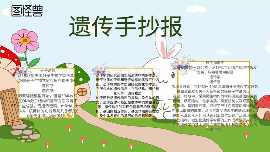 yi遗传与变异手抄报手抄报图片大全集