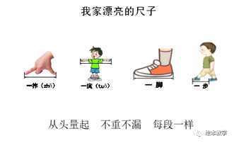 和身体尺有关的手抄报手抄报简单又好看