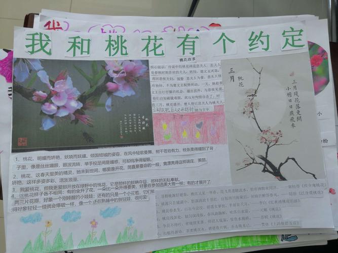 我和桃花有个约会锡市芳草小学二年级优秀手抄报展