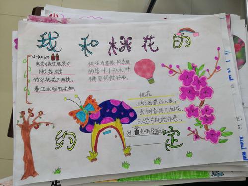 小学生关于桃花的手抄报小学生手抄报