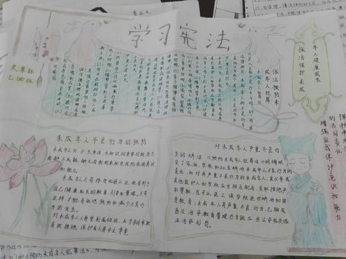 手抄报主题班会宣传展板等多种形式全体师生深入学习了《义务教育