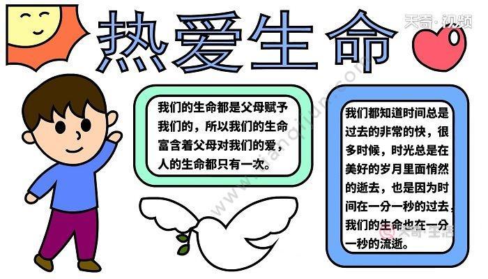 生命手抄报珍爱生命的手抄报图片好看又简单感恩生活珍爱生命手抄报