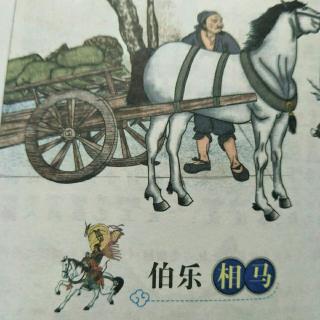 小学生伯乐相马手抄报 小学生手抄报