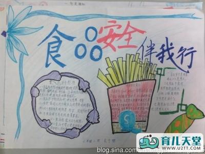 食品安全健康伴我成长手抄报食品安全手抄报