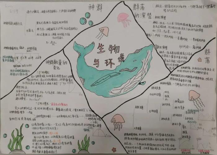 有颜又有内涵这样的生物手抄报你爱了吗