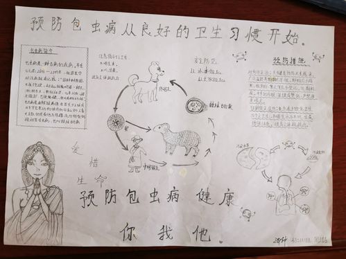 预防包虫病 你我共参与循化县举办中小学防治包虫病手抄报