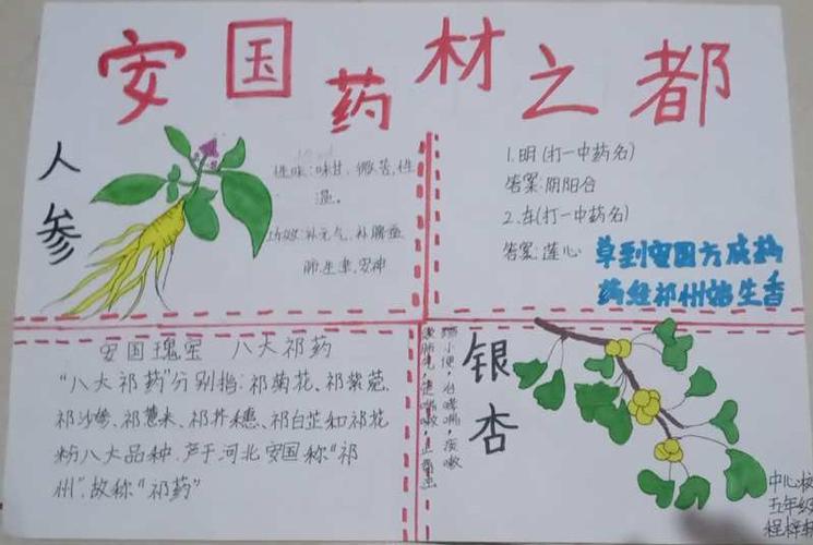 我们中心小学其他班级搜集制作的手抄报更是漂亮