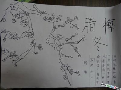 描写梅花的诗句手抄报 花的手抄报-蒲城教育文学网