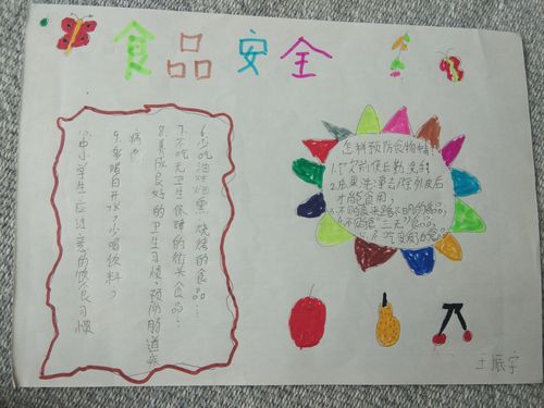 安全在我心越画越明晰梭庄小学二年级同学安全手抄报之食品安全