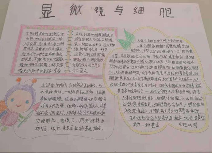 科尔沁实验初中七年十四班生物手抄报第一期细胞与显微镜