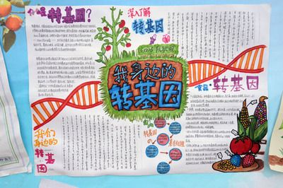 现代生物技术手抄报生物手抄报