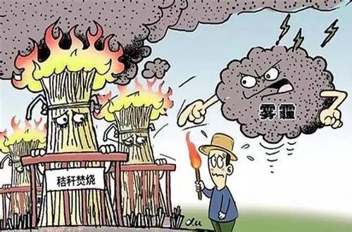 禁止露天秸秆焚烧手抄报 手抄报高清