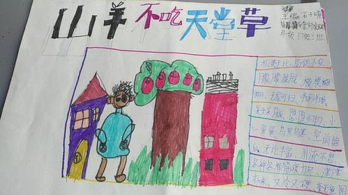 张店区兴学街小学三年级三班读书手抄报《山羊不吃天堂草》指导老师