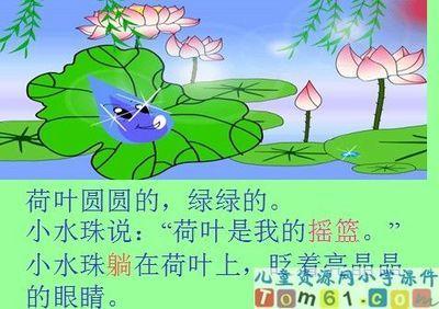 荷叶圆圆文配画手抄报 诗配画手抄报-蒲城教育文学网