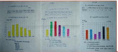 数学年货统计图手抄报数学手抄报