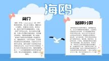 手抄报素材格式eps素材关键词帆船大海海星海鸥