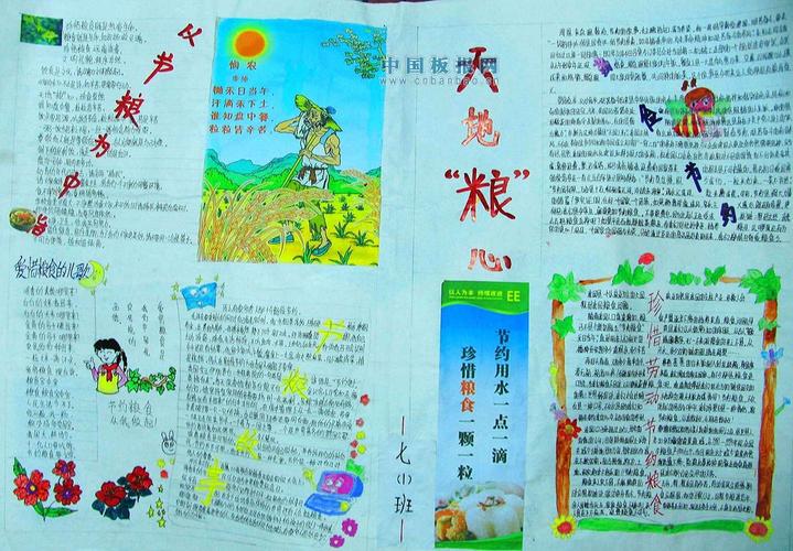 爱粮节粮手抄报大全 - 小学生手抄报 - 老师板报网