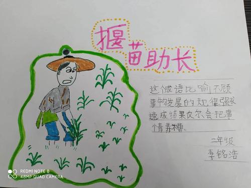 大树小学二年级《成语特色展示之成语手抄报》