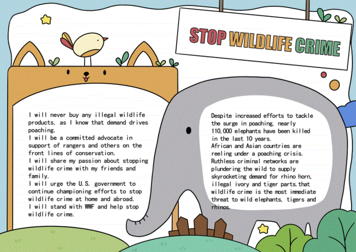 保护动物英文手抄报模板下载docx3页
