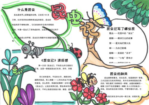 昆虫记小报手抄报模板下载