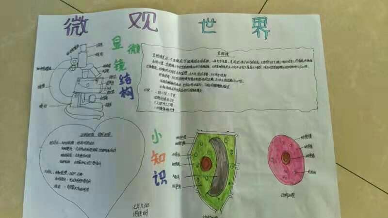 科尔沁实验初七年级9班一期生物手抄报