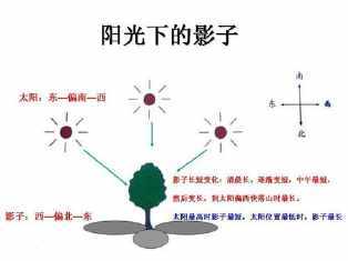 阳光下的影子如何变化手抄报 阳光手抄报