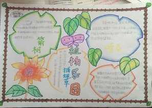 小学生种植手抄报小学生手抄报