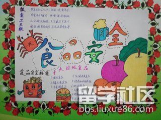 小学生营养食品手抄报 食品手抄报