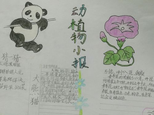 逸夫小学二5班有趣的动植物手抄报