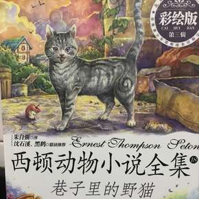 巷子里的野猫手抄报手抄报简单又漂亮