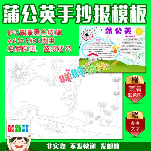 a4a38k小学生幼儿爱护植物蒲公英观察记涂色描线空白手抄报模板