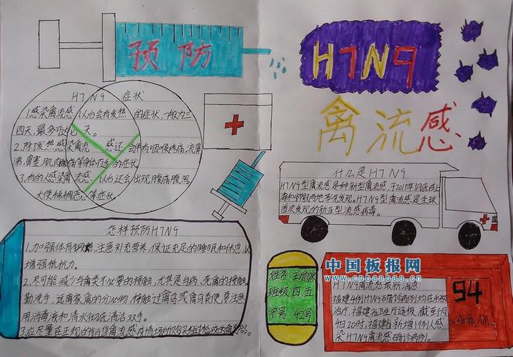 h7n9流感手抄报大全