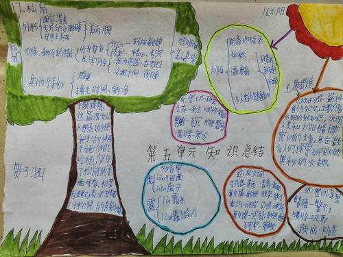 五年级上册语文第五单元知识总结手抄报展示