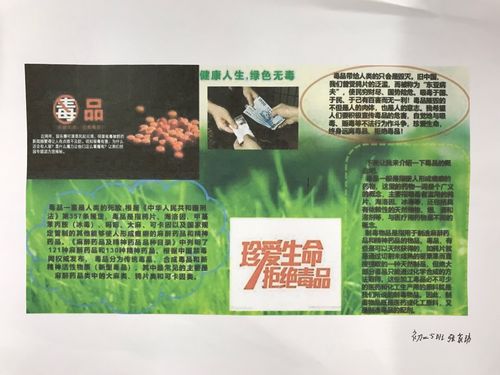 阳光5班 健康人生绿色无毒演讲手抄报展示