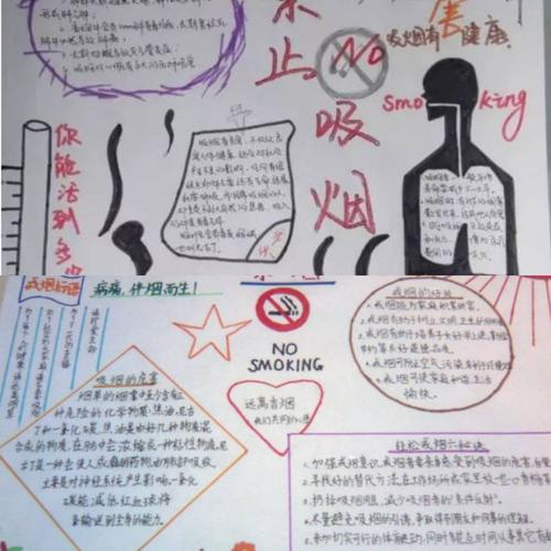 同学们制作的精美手抄报