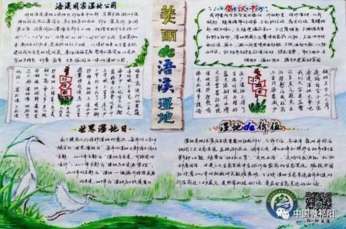 祁阳县中小学生湿地走进校园征文绘画手抄报大赛获奖公示