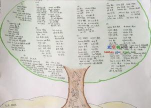 万以内数的加减法知识树手抄报 数学知识树手抄报六年级英语二单元