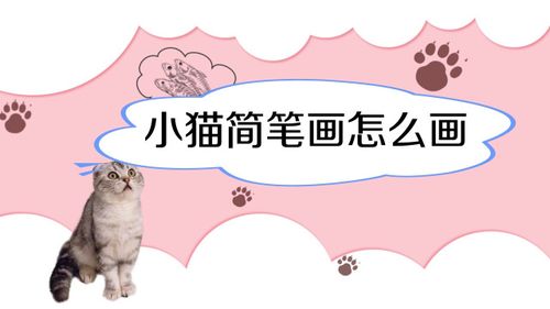 小猫简笔画怎么画