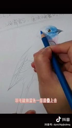 小鸟简笔画画法 步骤2