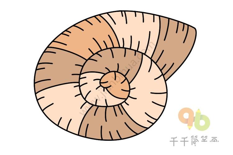 一步一步教你画海螺简笔画