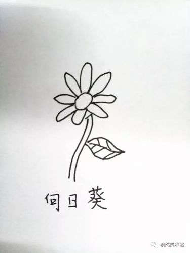 花的简笔画简单实用