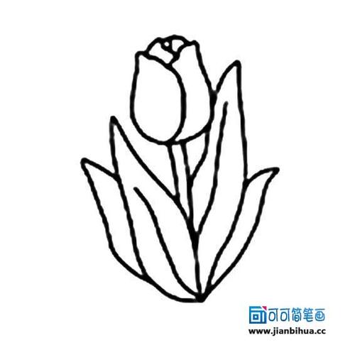 花朵简笔画简单又好看美丽的花朵图片简笔画