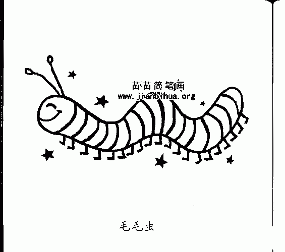 女毛虫简笔画