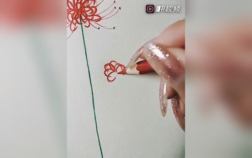 好看的彼岸花简笔画教程 宝宝们学起来吧