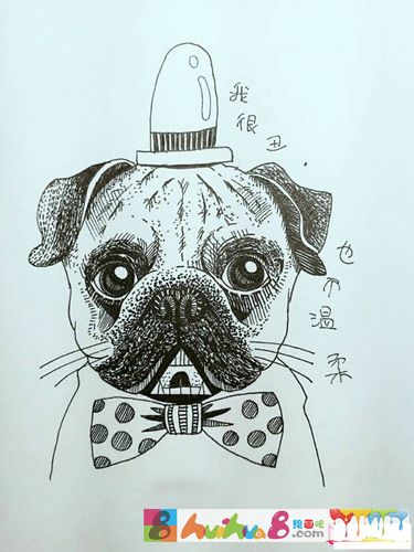 丑萌巴哥犬简笔画图片