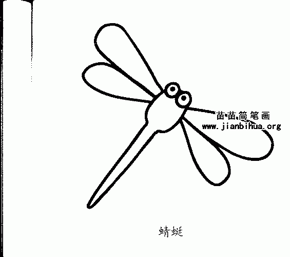 蜻蜓不同形态简笔画2张