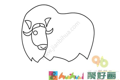 幼儿学画麝牛的画法怎么画简笔画教程