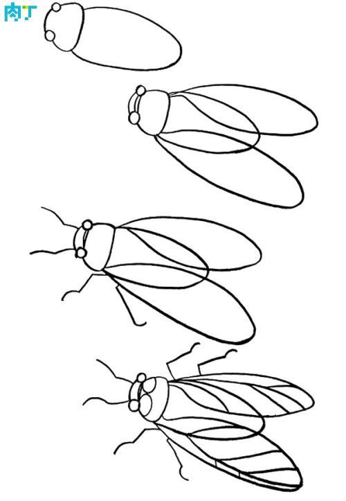 小孩儿捉知了简笔画